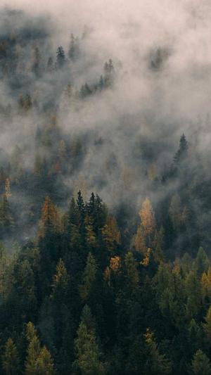 蜘蛛池系统有什么用截图5