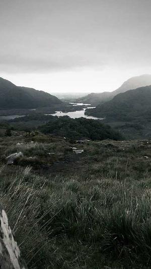 蜘蛛池能不能收录网站截图1