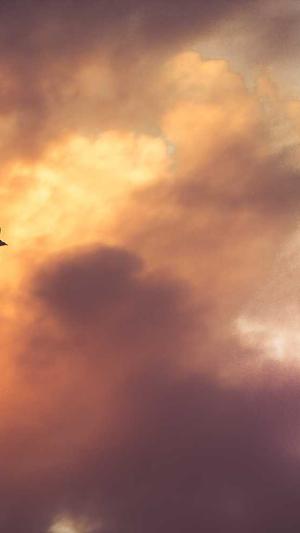 超级蜘蛛池靠谱吗截图3