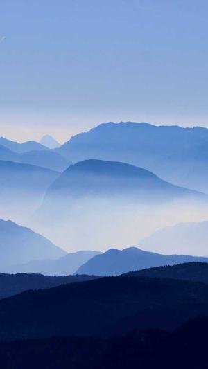 旺道seo优化截图3