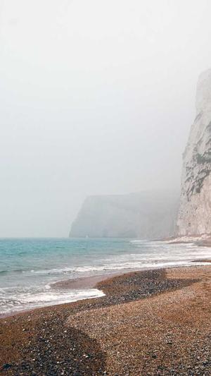 枫叶蜘蛛池有用吗截图1