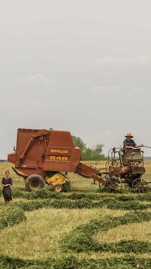 超级外链蜘蛛池源码截图2