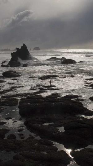 蜘蛛池是站群吗截图5