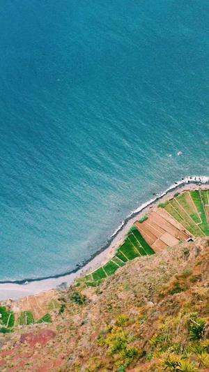 郑州靠谱站点seo工具截图5