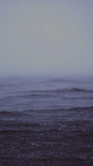 mip泛目录站群截图2