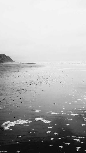 保定 网站建设截图3