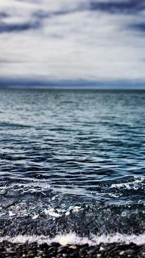 天道php蜘蛛池截图1