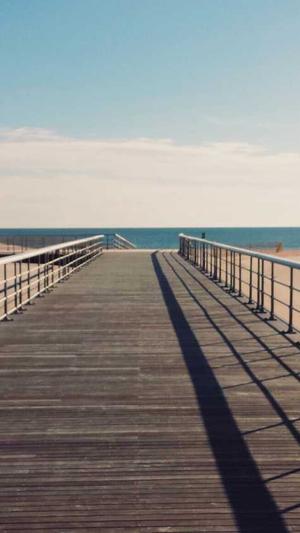 seo 内容发布工具截图2