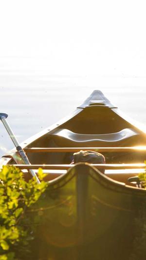 做抖音seo的工具有哪些截图2