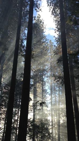 网站seo优化截图3