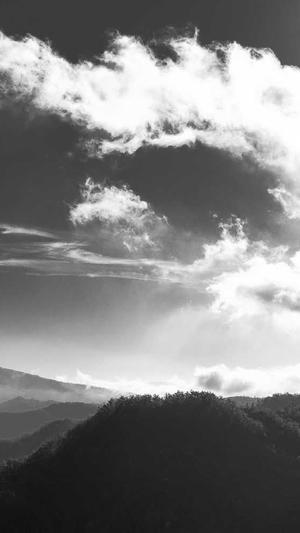 seo点击工具价格截图3