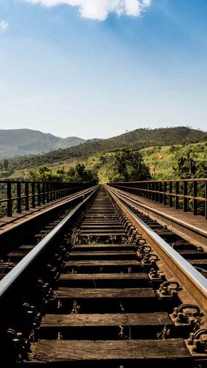 购买蜘蛛池截图2