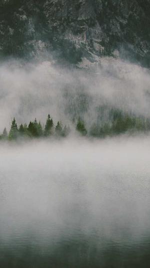 链接seo优化截图2