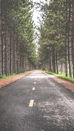 品牌网站建设公司截图2