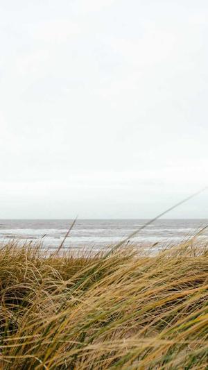 保定seo工具截图2