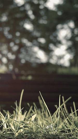 合肥seo优化工具截图2