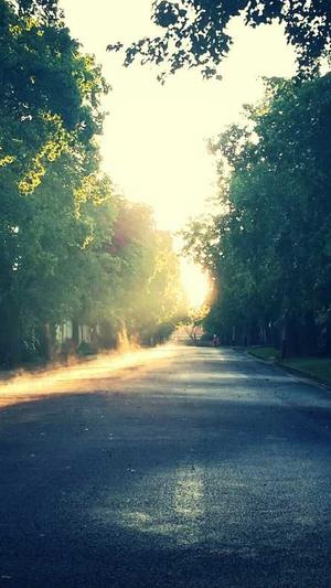 长沙网站建设网站建设截图2