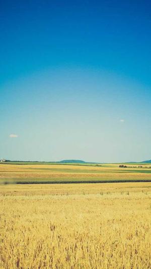 阿里蜘蛛池 被k截图1