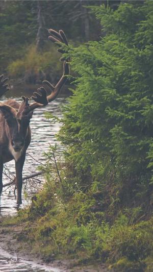 如何网站建设截图5