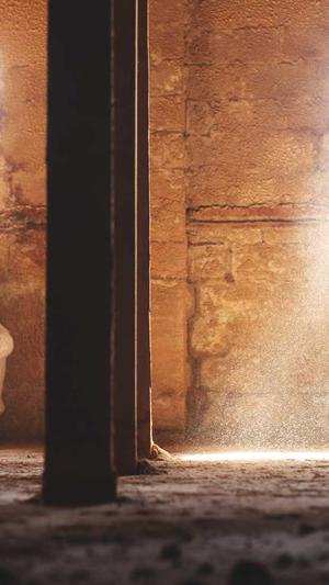 黑帽seo工具破解版截图2