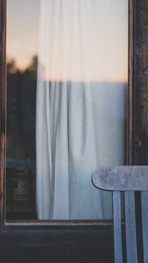 无名新闻蜘蛛池截图1