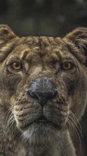 seo经验分享截图1