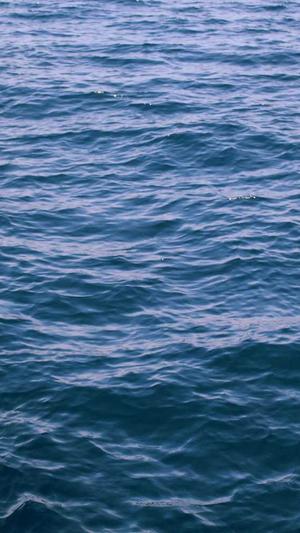 嘉兴网站建设网站截图1