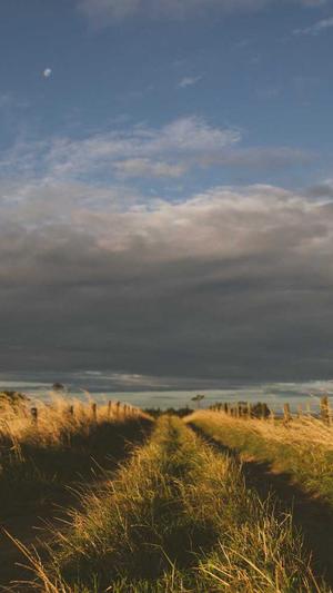 枣庄网站建设截图1