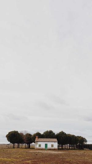 蜘蛛池价格全首zjkwlgs截图1