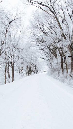 seo优化考核截图3