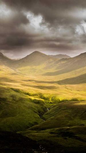 长沙网站的建设截图1