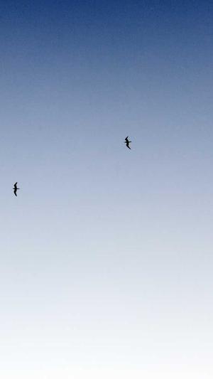 青岛seo服务截图4