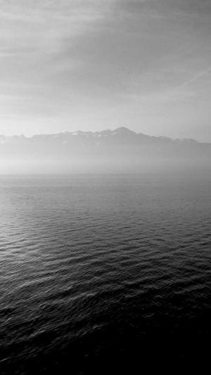 郑州企业网站建设截图4