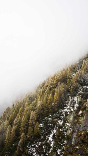 顺义网站建设截图1