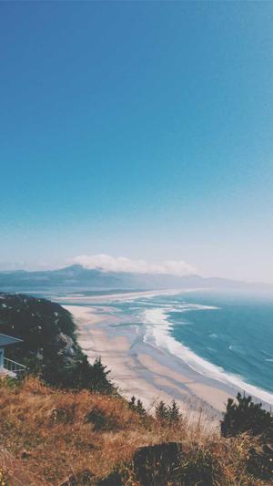 蜘蛛池搭建有效果吗截图5