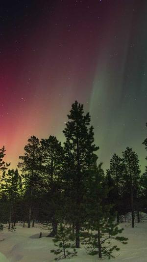 seo优化建议工具截图5