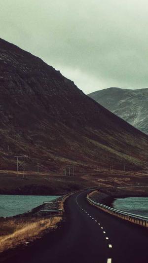 蜘蛛池系统有什么用截图2