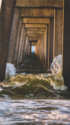 泛目录覆盖截图3