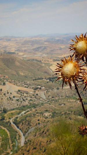 潍坊网站建设公司截图1