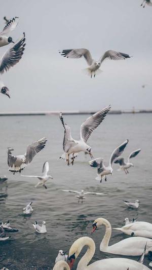 那个网站建设公司好截图3