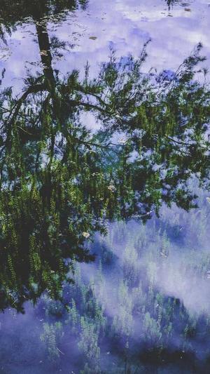 兰州网站建设公司截图1