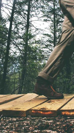 网站建设哪家好截图4