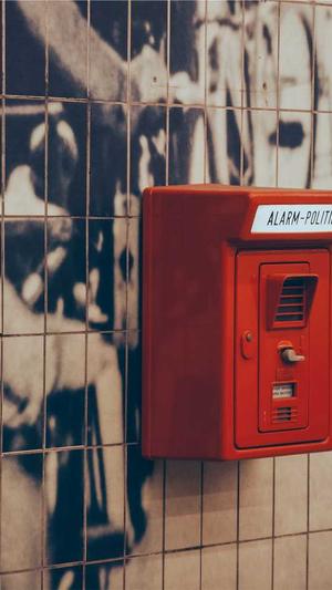 蜘蛛池价格全首zjkwlgs截图4