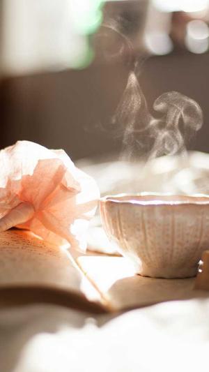 安装蜘蛛池教程视频截图2