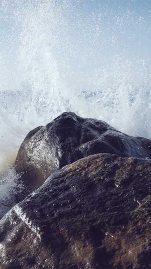 seo自动发布外链工具截图1