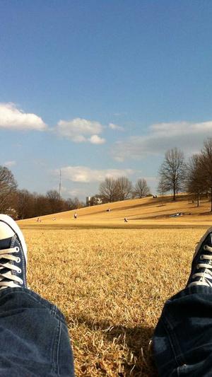 泛目录代发截图5