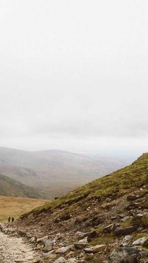 网站优化推广seo截图1