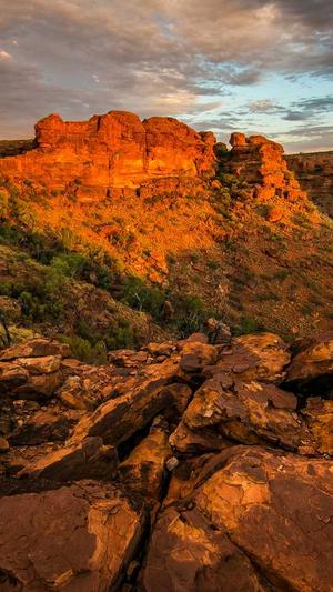 蜘蛛池租用平台找哪家截图2
