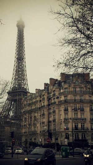 泛域名目录截图1