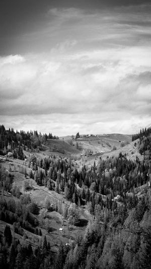 深圳seo公司截图5